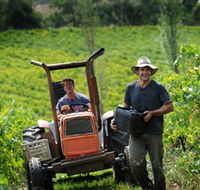 Kellybrook Winery  Kelly Brothers Cider - Inverell Accommodation