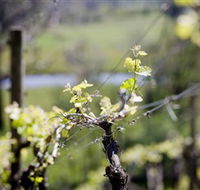 Adventure Estate - Inverell Accommodation