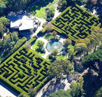 Ashcombe Maze  Lavender Gardens - Inverell Accommodation