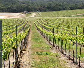 M Chapoutier Australia - Inverell Accommodation 0