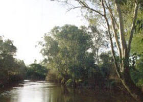 Banksia Park - Inverell Accommodation 0