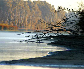 Barmah National Park - Inverell Accommodation 0