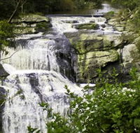 Agnes Falls Scenic Reserve - Inverell Accommodation