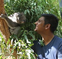 Healesville Sanctuary - Inverell Accommodation