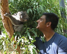 Healesville Sanctuary - Inverell Accommodation 0