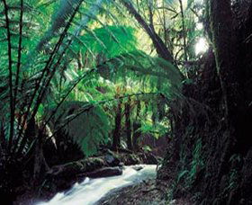 Melba Gully - Inverell Accommodation 0