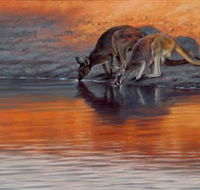 Steve Morvell Wildlife Art - Inverell Accommodation