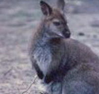 Churchill National Park - Inverell Accommodation