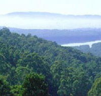 Kalorama Park - Inverell Accommodation