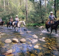 Howqua Hills Historic Area - Inverell Accommodation