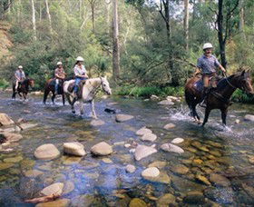 Howqua Hills Historic Area - Inverell Accommodation 0