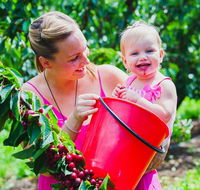 Cherryhill Orchards - Inverell Accommodation
