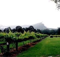 Cambewarra Estate Wines - Inverell Accommodation