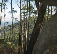 Gulaga National Park - Inverell Accommodation