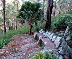 Wodi Wodi Walking Track - Inverell Accommodation 0