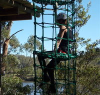 Trees Adventure Shoalhaven - Inverell Accommodation