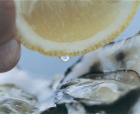 Pearly Oyster Bar And Farm - Inverell Accommodation 0