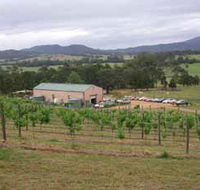Villa d Esta Vineyard - Inverell Accommodation