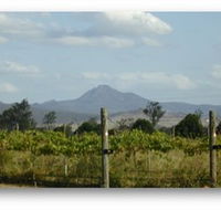 Ironbark Ridge Vineyard - Inverell Accommodation
