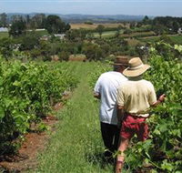 Sir Paz Estate - Inverell Accommodation