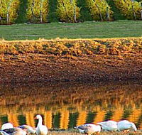 Pipers Brook Vineyard - Inverell Accommodation