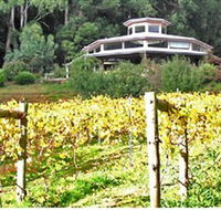 Peveril Vineyard/Beechy Berries - Inverell Accommodation