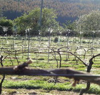 Three Willows Vineyard - Inverell Accommodation