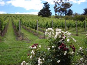 Aramara ACT Inverell Accommodation