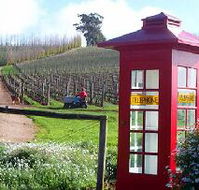 Dalrymple Vineyards - Inverell Accommodation