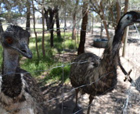 Narana Aboriginal Cultural Centre - Inverell Accommodation 4