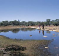 Camel Soak - Inverell Accommodation