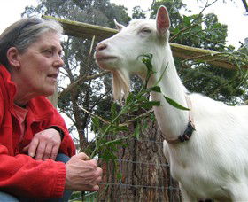 Karmic Goat Soapworks - Inverell Accommodation 2
