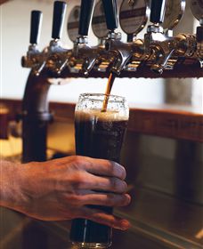 Napoleone Brewery And Ciderhouse - Inverell Accommodation 3