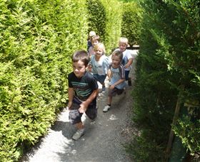 Hedgend Maze And Healesville Laser Sport - Inverell Accommodation 1