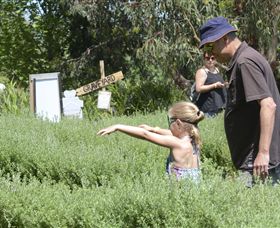 Hedgend Maze And Healesville Laser Sport - Inverell Accommodation 2