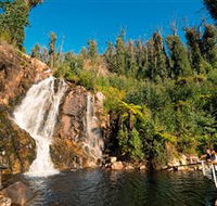 Steavenson Falls Marysville - Inverell Accommodation