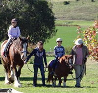 Bathurst Farm Experience - Inverell Accommodation