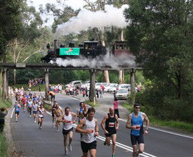 Puffing Billy Steam Railway - Inverell Accommodation 7