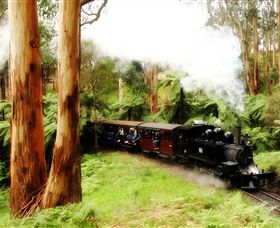 Puffing Billy Steam Railway - Inverell Accommodation 5