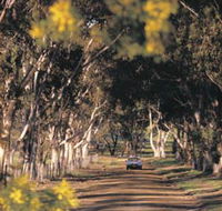 Albert Facey Heritage Trail - Inverell Accommodation