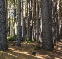 Sugarpine Walk - Inverell Accommodation