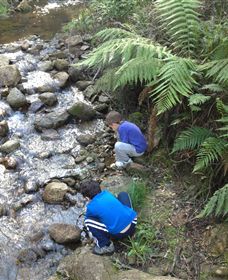 Shelley Forest Camp - Inverell Accommodation 2