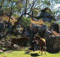 Coomba Falls - Inverell Accommodation