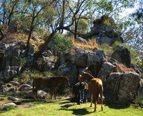 Coomba Falls - Inverell Accommodation 0