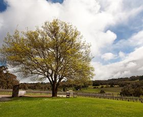 Tuck's Ridge - Inverell Accommodation 2