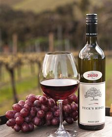 Tuck's Ridge - Inverell Accommodation 4