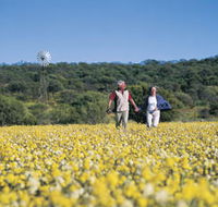 Koolanooka Springs - Inverell Accommodation