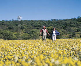 Koolanooka Springs - Inverell Accommodation 0
