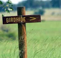 Wooroolin Wetland - Inverell Accommodation