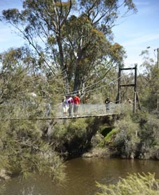 Avon Park - Inverell Accommodation 0